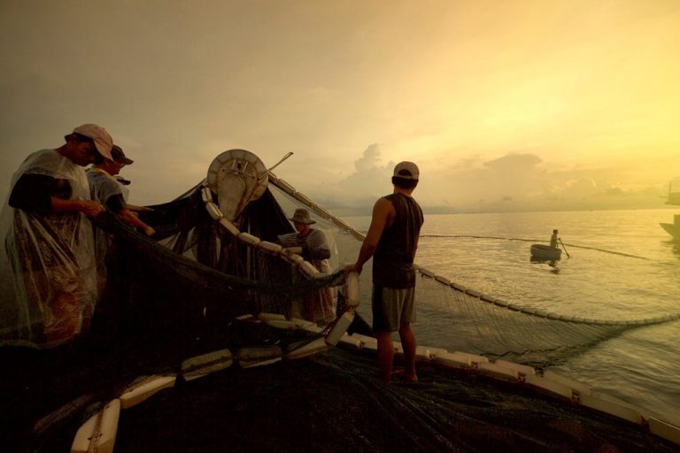 Tiet Canh Cua Khi Den Phu Quoc