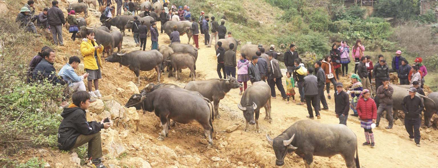 Cho Phien Bac Ha Co Gi Ma Luon Thu Hut Du Khach Du Lich