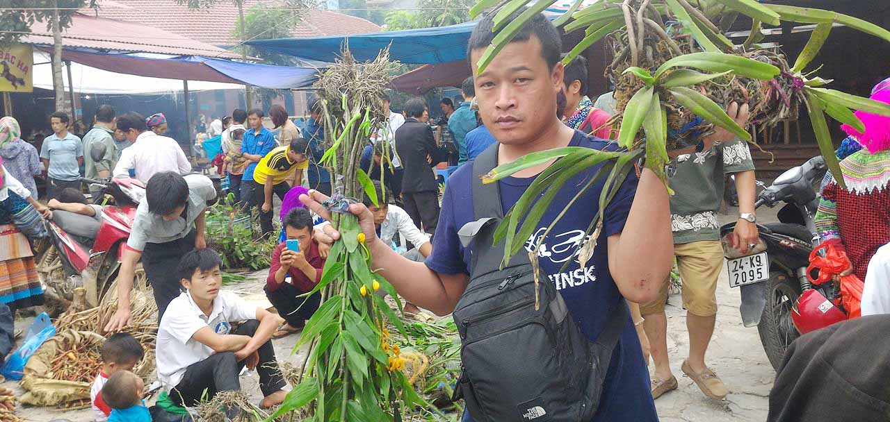 Cho Phien Bac Ha Co Gi Ma Luon Thu Hut Du Khach Du Lich