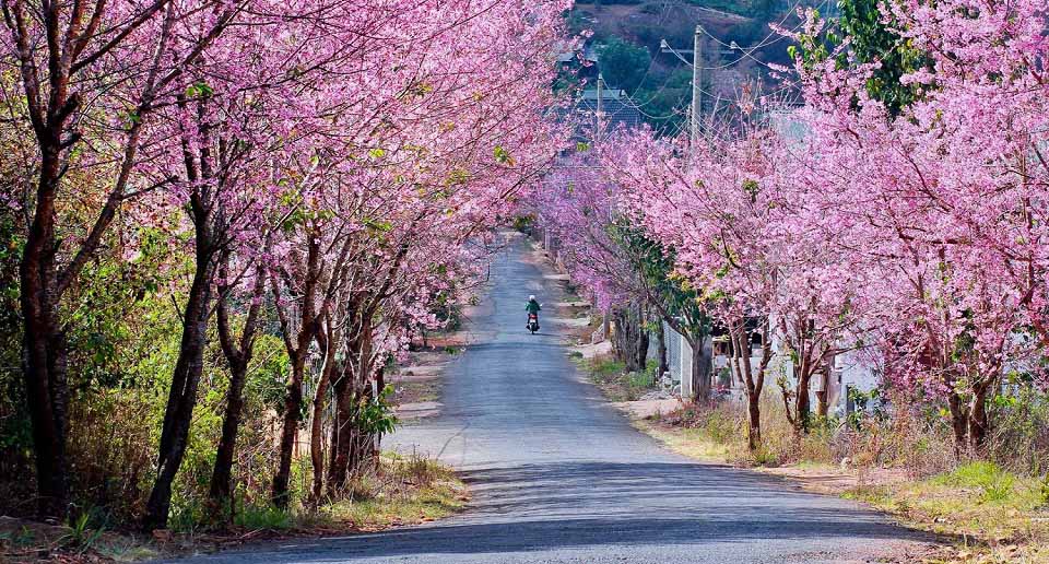 Thoi Tiet Da Lat Va Nhung Dieu Thu Vi Co The Ban Chua Biet